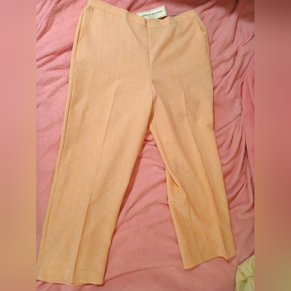 Alfred Dunner pants in 18